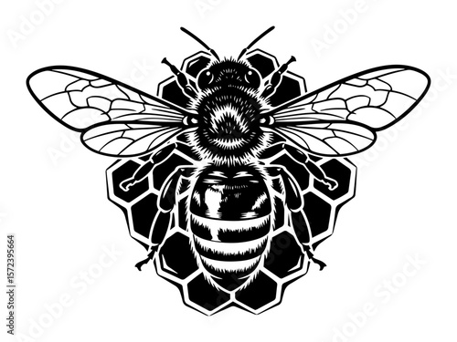 bee on honeycomb detailed vector logo