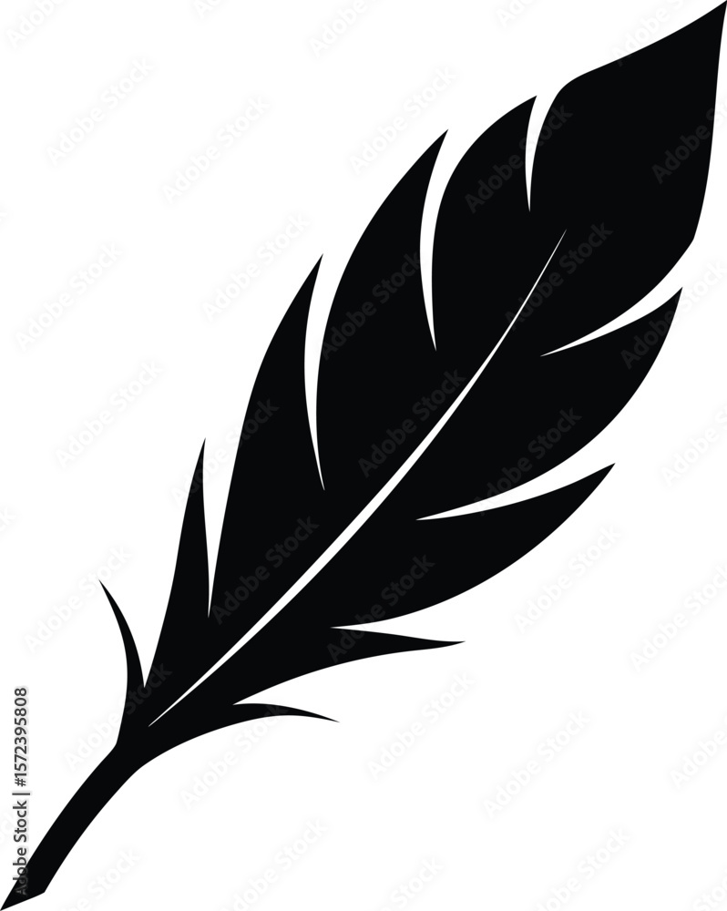 Obraz premium feather vector illustration