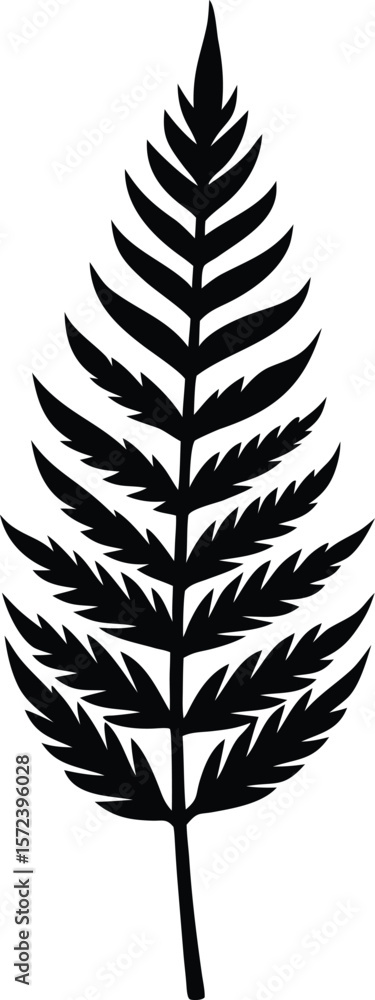Fern leaf black silhouette vector art and illustration