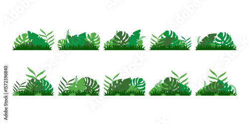 Greenery Tropical Shrubs