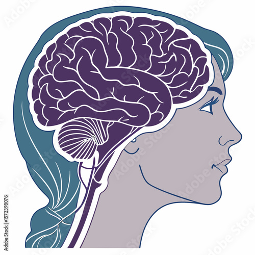 Understanding the Human Brain Anatomy, Structure, and Function