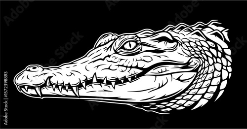 Detailed black and white illustration of a crocodile head, showing scales and teeth.