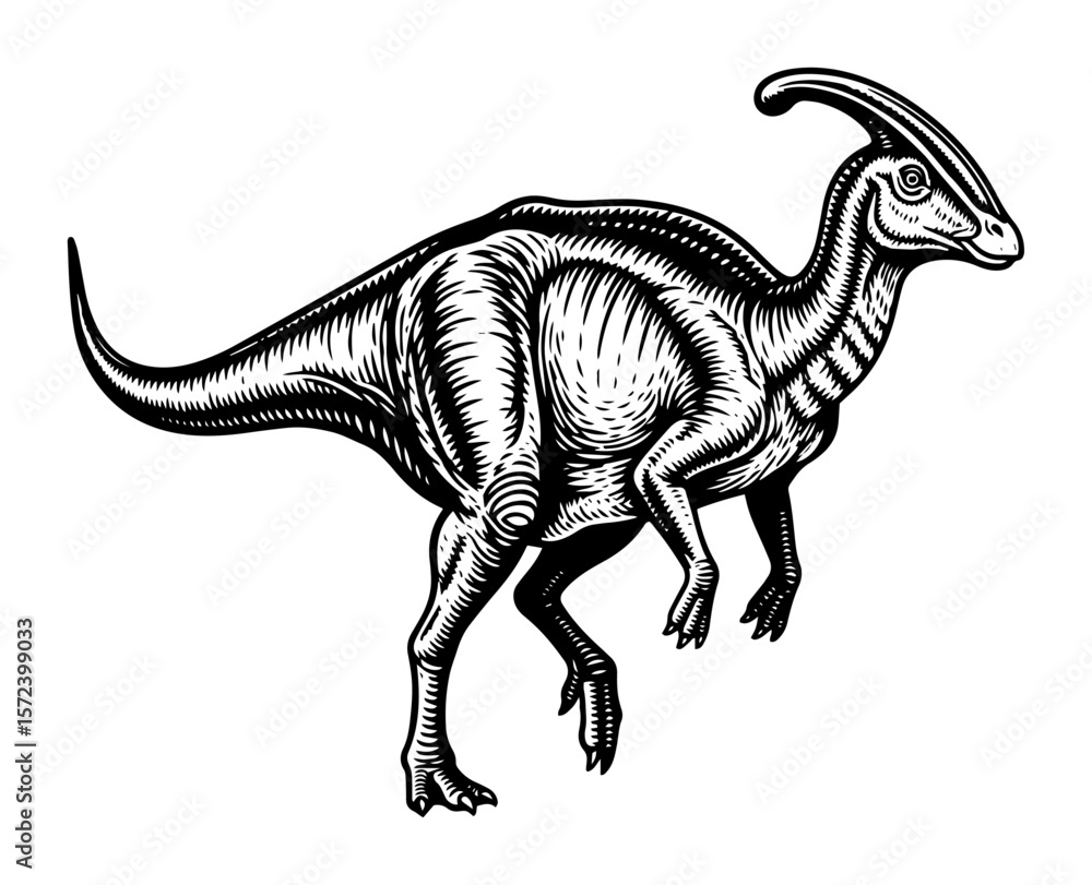 Fototapeta premium parasaurolophus hadrosaur dinosaur vector illustration