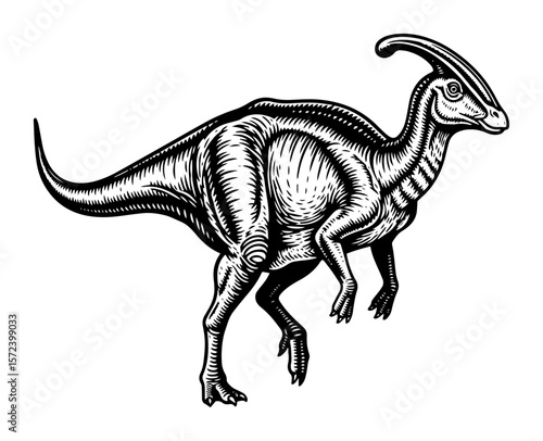 parasaurolophus hadrosaur dinosaur vector illustration