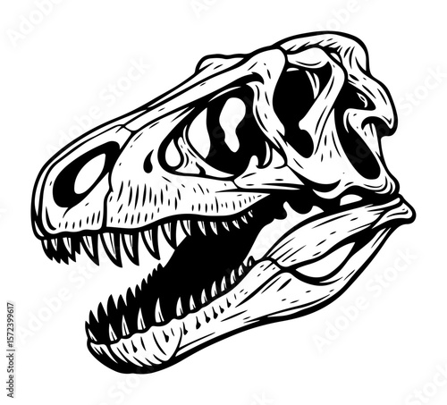 t rex skull profile monochrome vector illustration