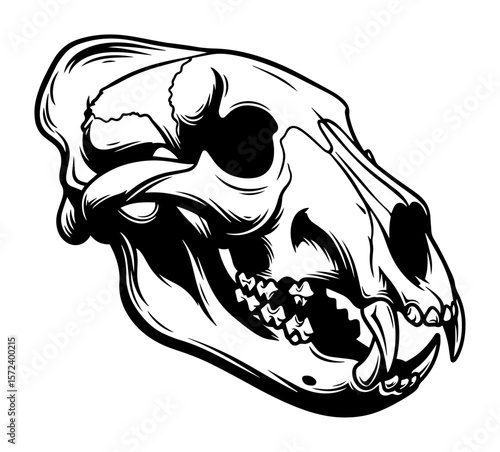 predator animal skull monochrome vector illustration