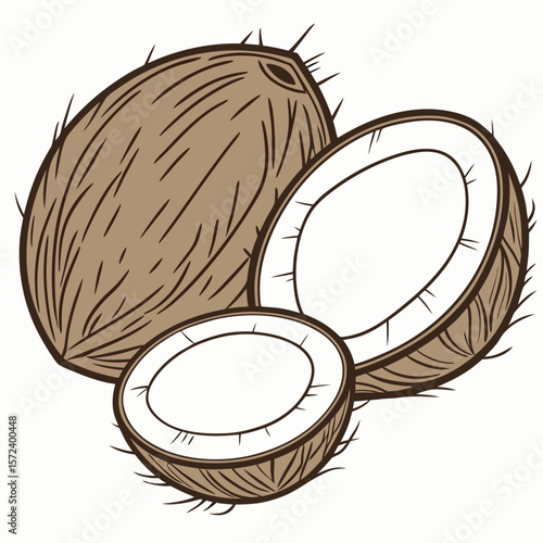 Whole and halved brown coconuts with white interior