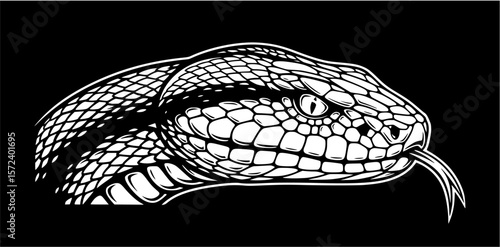 A detailed black and white illustration of a snake's head, showcasing its scales and forked tongue.