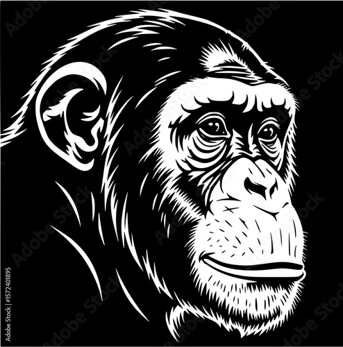 A detailed black and white illustration of a chimpanzee's head, looking to the side.