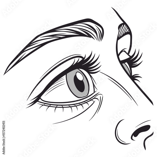 Elegant eye with long lashes and brow eyelashes eyebrow
