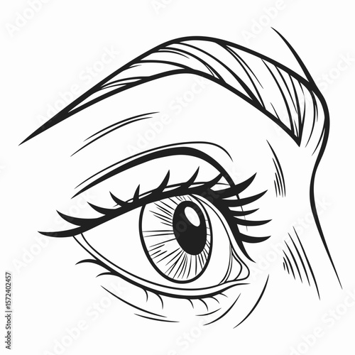 Detailed human eye illustration iris pupil