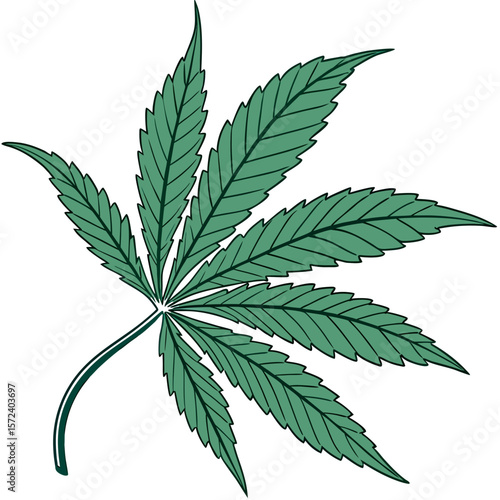 Green cannabis leaf on white background marijuana leaf