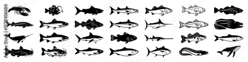 Large collection of fish and sea animals silhouettes. Ocean and marine life vector icon set.