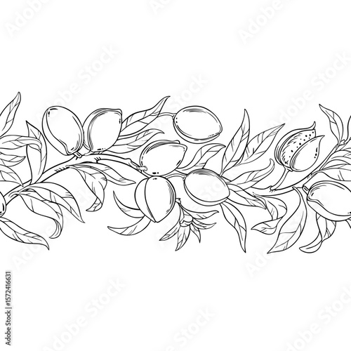 Almond Branch with Nuts and Leaves Outline Horizontal Seamless Pattern. Organic natural nutritional healthy food ingredient, vegetarian diet product. Vector isolated for design or decoration.