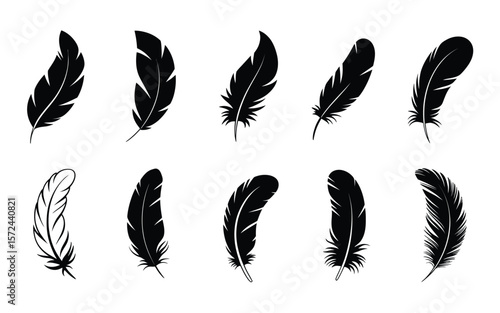 A set of eight black feather silhouettes