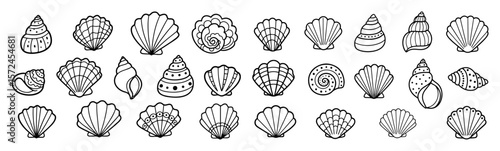 hand drawn seashells collection