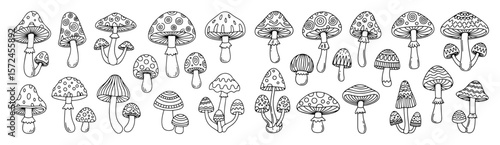 forest mushrooms and toadstools line art set