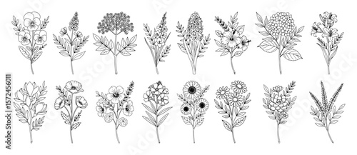 medicinal herb branch icon bundle outline vector