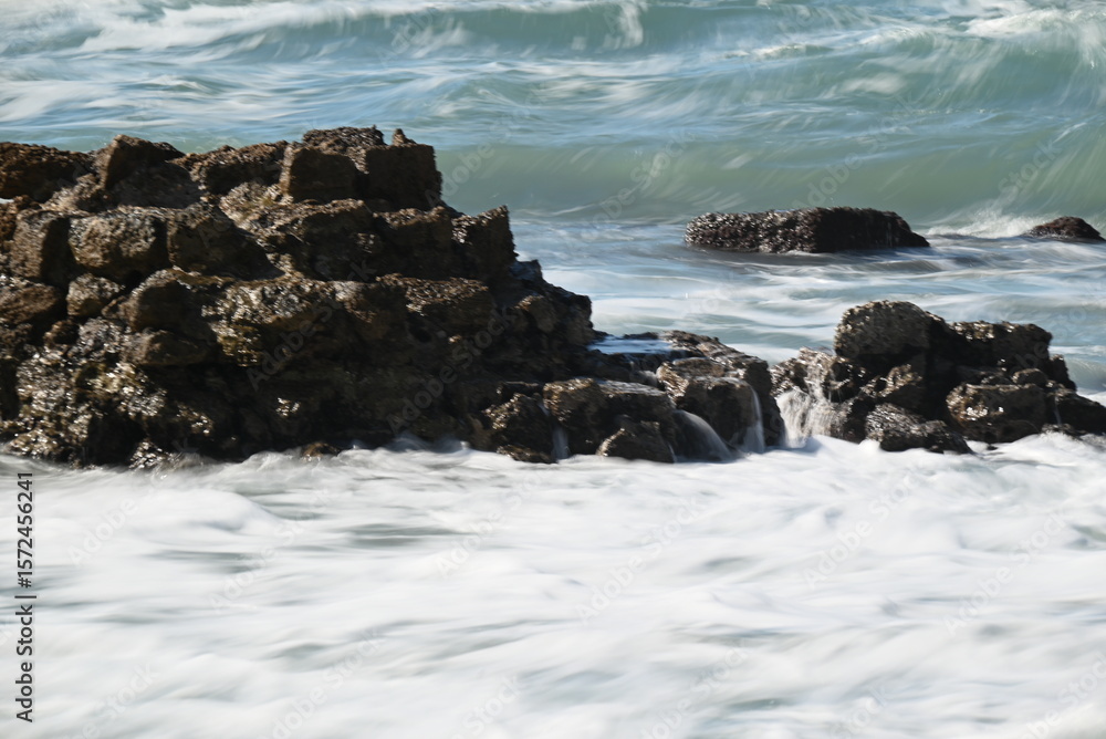 Fototapeta premium Nature photography, landscape, street photography, animal photography, birds, buildings, ocean waves, beaches, sunsets