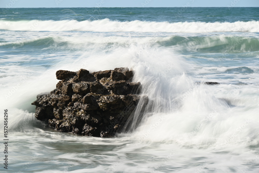 Fototapeta premium Nature photography, landscape, street photography, animal photography, birds, buildings, ocean waves, beaches, sunsets