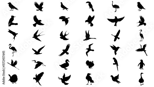 big set bird icon silhuette 