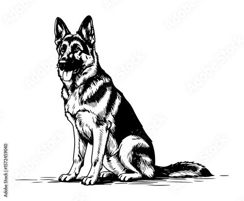 german shepherd dog sitting breed illustration