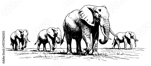 elephant herd family walking across savannah wildlife nature scene hand drawn vector illustration
