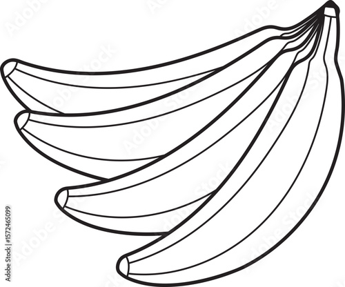 Single Line Drawing of a Plantain