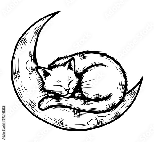 cute cat sleeping on the crescent moon sketch vector illustration