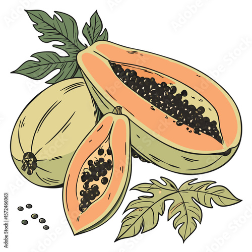 Two halves of a papaya with leaves