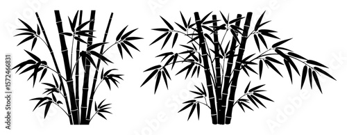 bamboo forest grove silhouette vector illustration