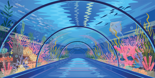 Oceanarium dome. Underwater tunnel, perspective view with coral reef and fish. Empty oceanarium tunnel, closeup. Vector hand drawn illustration.