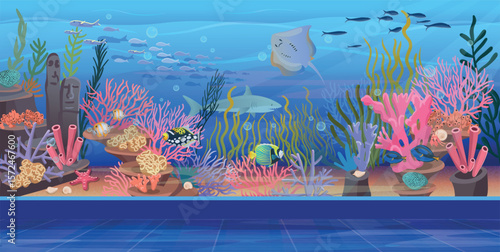 Oceanarium. Underwater with coral reef and fish. Empty oceanarium, close up. Vector hand drawn illustration.