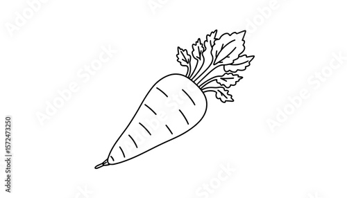 Outline of a carrot with green leaves for coloring page  