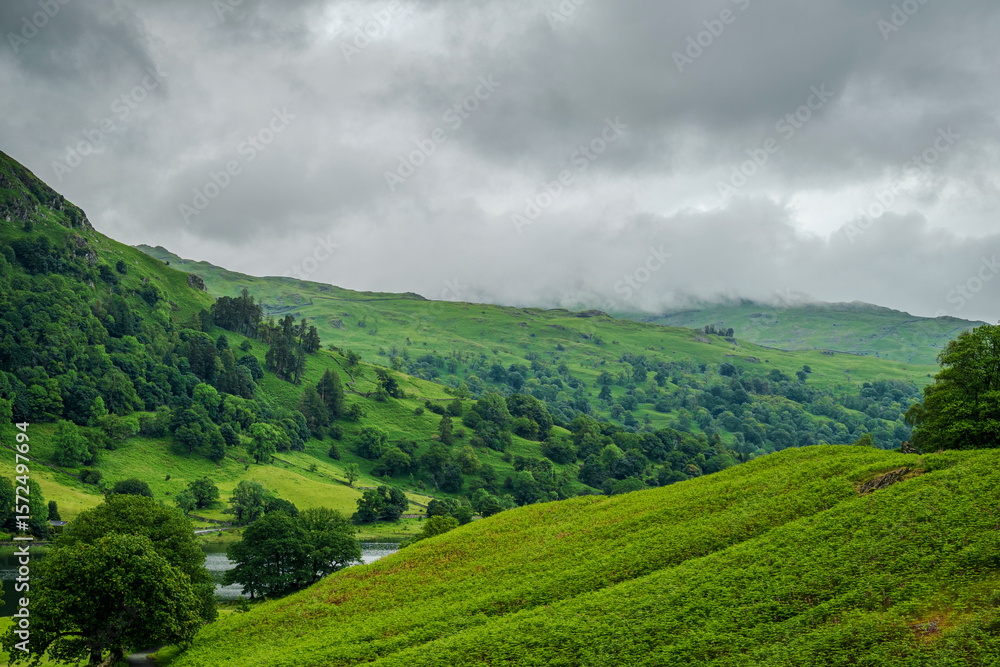 Fototapeta premium Low rain clouds drift over a range of fells at Rydal Water, casting a soft mist across the refreshing green landscape on a peaceful summer day in the Lake District countryside. 2