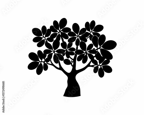 creative Silhouette simple Jade Plant (Crassula ovata) Vector Illustration 