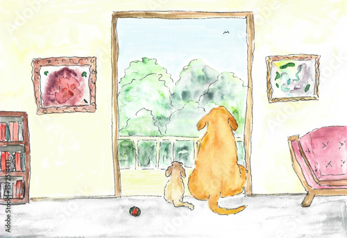 Dogs Admiring View from Open Windows