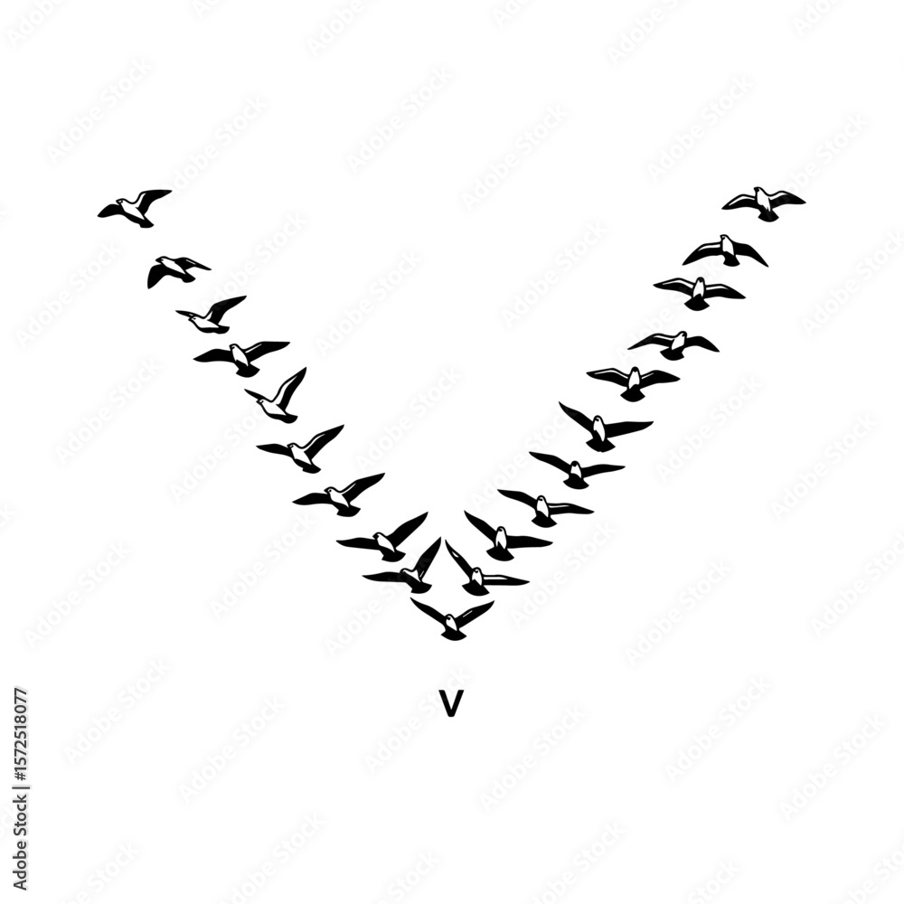 Obraz premium Birds Flying in V Formation - Migratory Flock Symbol