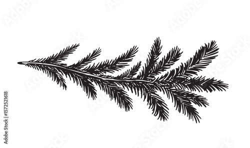  Christmas tree branch hand drawn