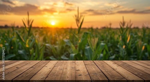Wooden table in front of a blurred cornfield at sunset with golden light surface planks