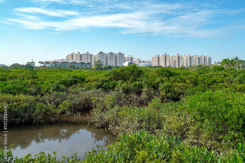 Obraz premium The city scenery of Fangchenggang, which is located in Beibu Gulf, Guangxi.