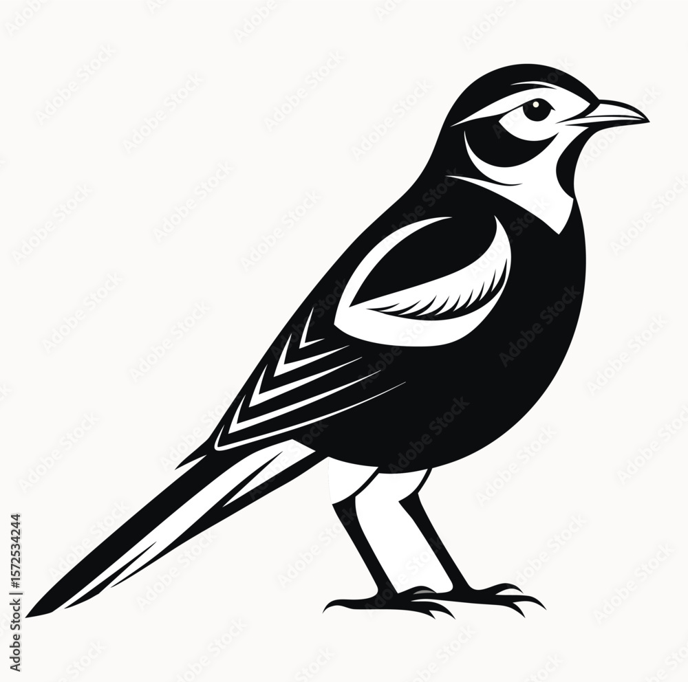 Obraz premium Stylized black and white illustration of a meadowlark bird standing alert on a white background