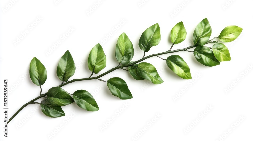 Naklejka premium Sprig of vibrant green leaves cascading elegantly on a clean white backdrop