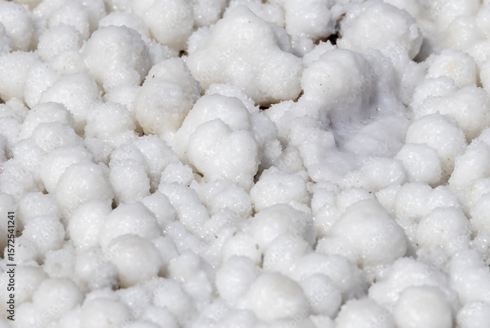 Close-up of naturally crystallized salt on the ground at the shore of a salt lake Close-up of naturally crystallized salt on the ground at the shore of a salt lake