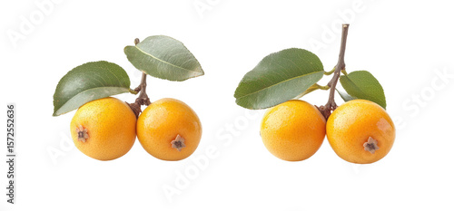 Two clusters of small, vibrant yellow fruits with green leaves attached to a stem