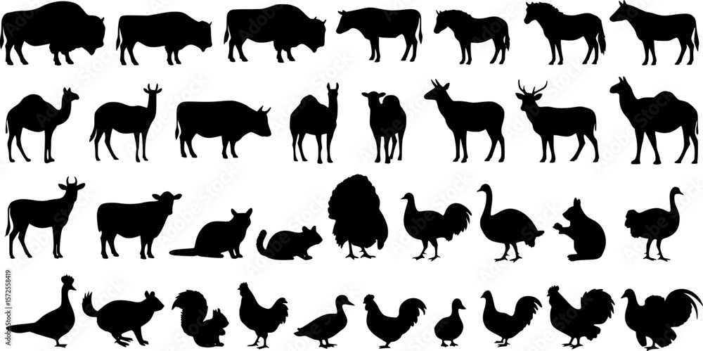 Obraz premium black animals silhouette vector on white background