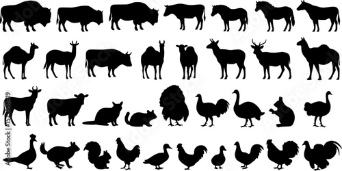 black animals silhouette vector on white background