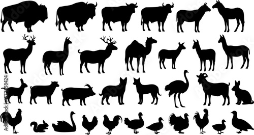 black animals silhouette vector on white background