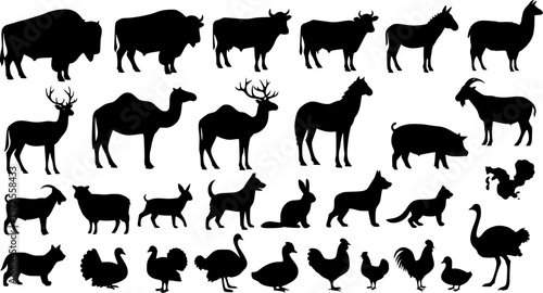 black animals silhouette vector on white background