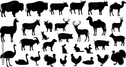 black animals silhouette vector on white background